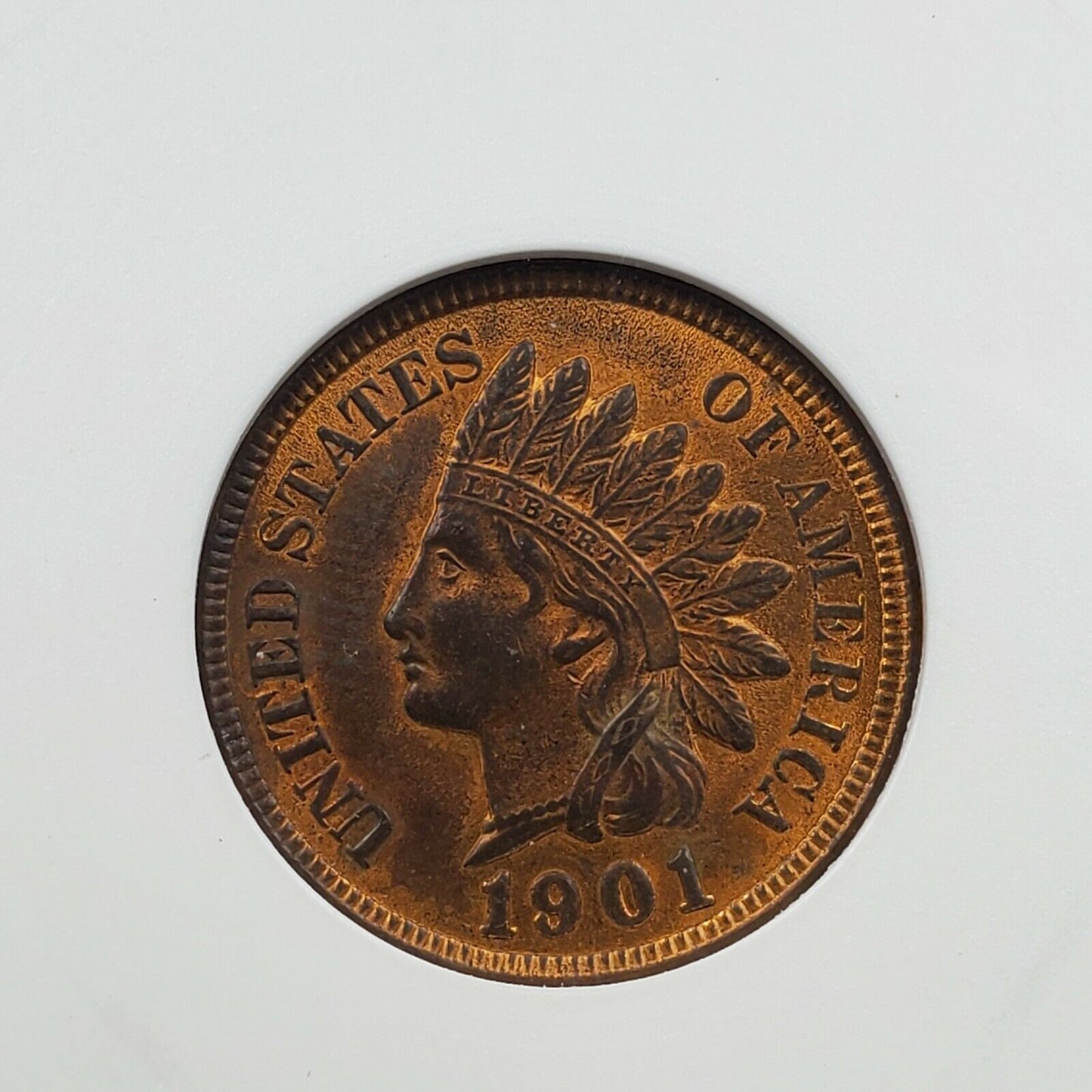 1901 P Indian Cent Penny Error ANACS MS63 RB Red Brown RPD Repunched Date 19/1