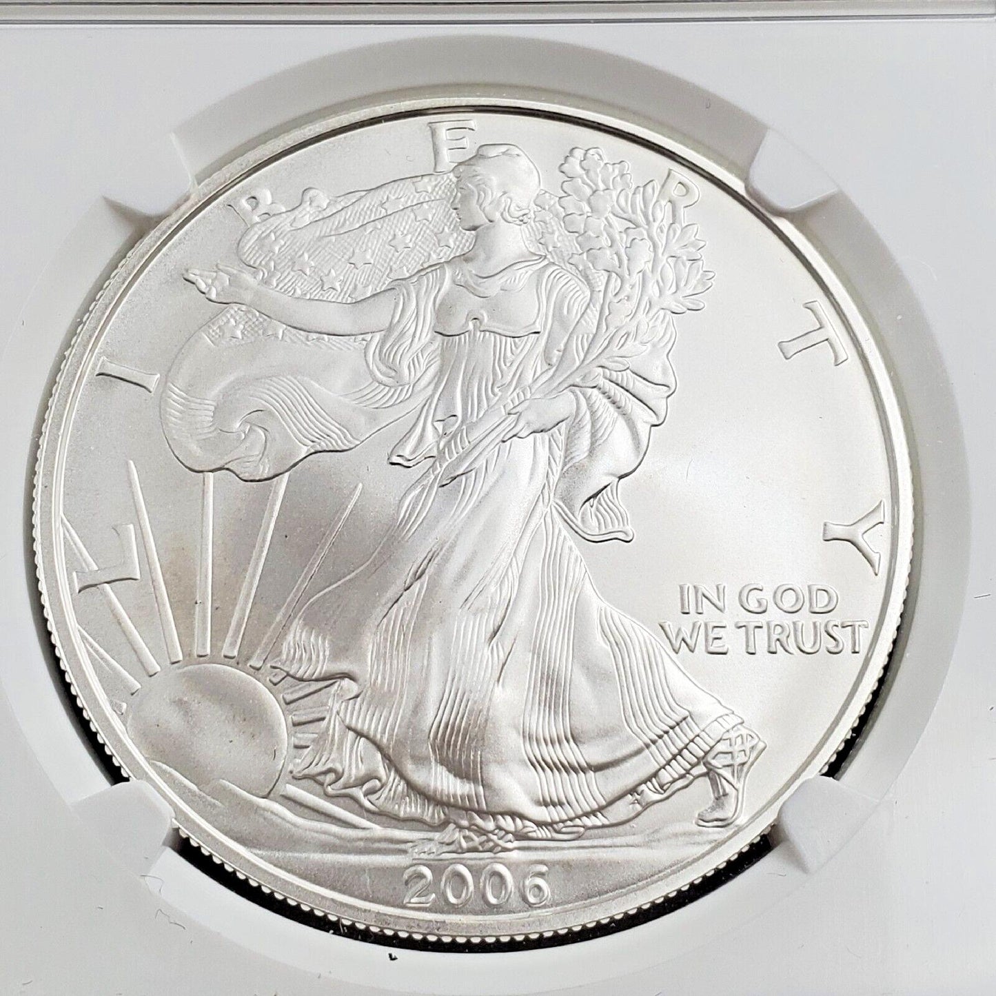2006 W 1 OZ American 1oz .999 Silver Eagle Coin NGC MS69 Gem BU Certified