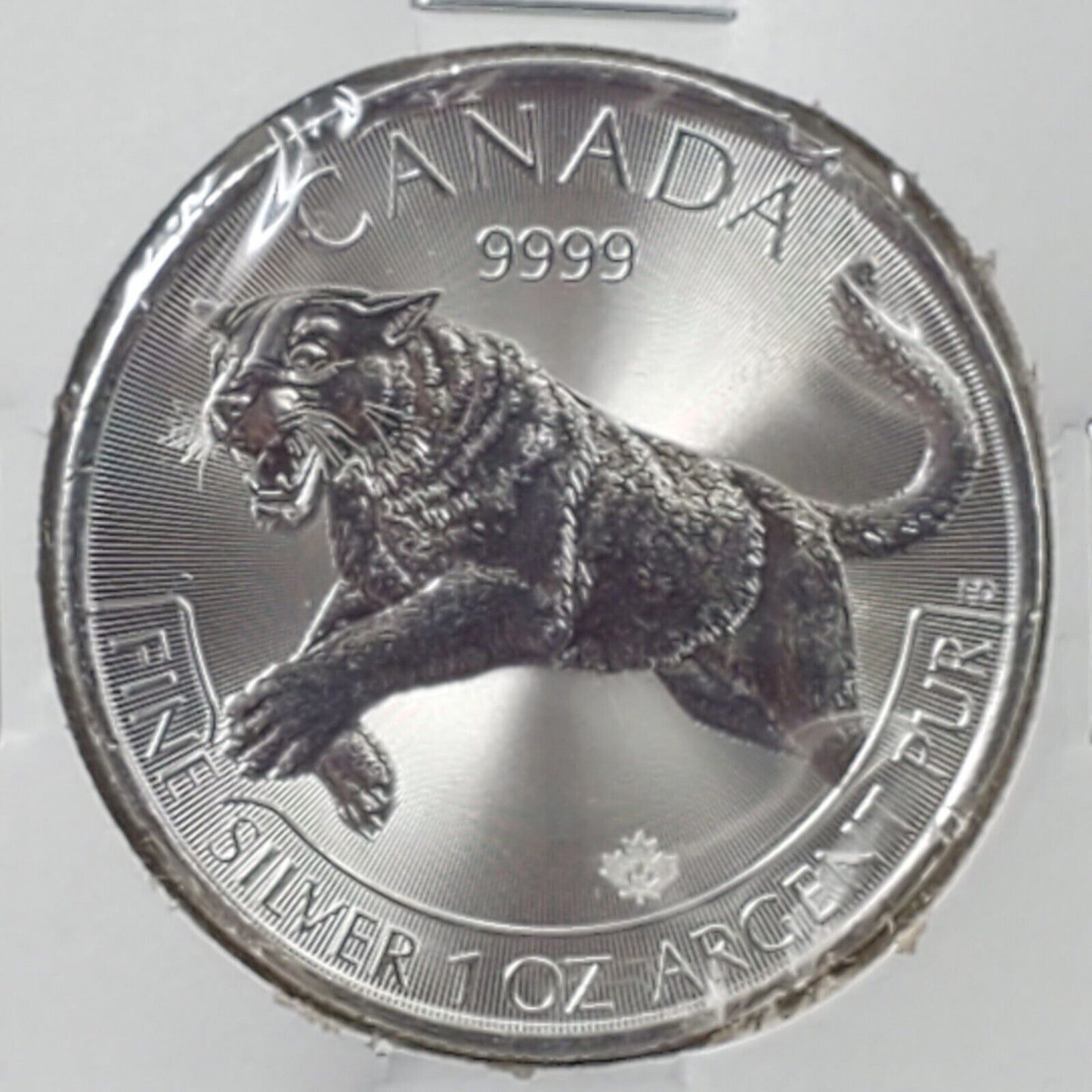 2016 Canada $5 Dollar 1oz .9999 Silver GEM BU COUGAR * Predator Series Coin