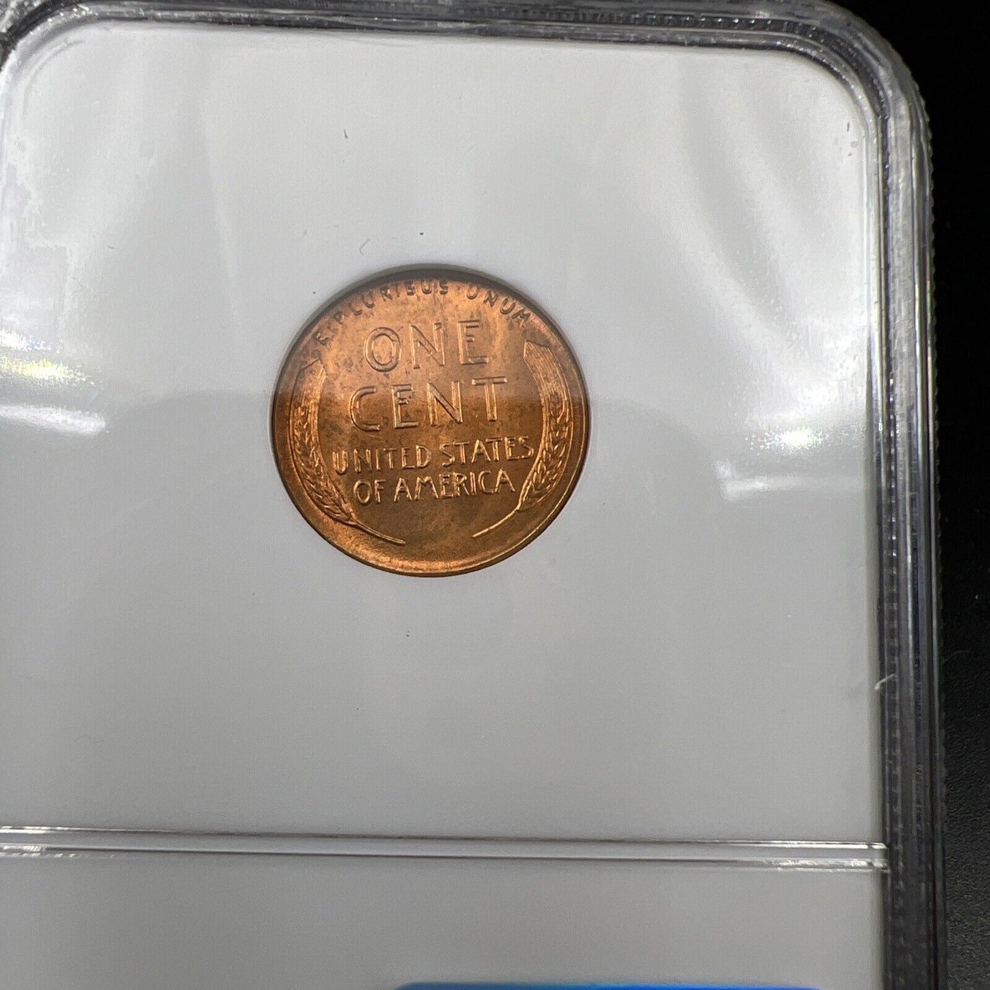 1953 P Lincoln Wheat Cent Penny Coin MS66 NGC Red RD Brown Label Gem BU #030