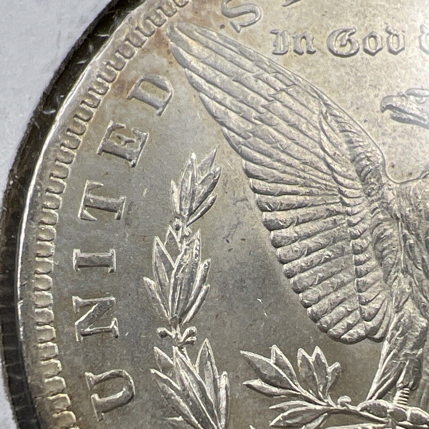 1884 O Morgan Dollar Coin O/O Vam 8 OMM Overlap Reeding Die Chips CH BU Variety