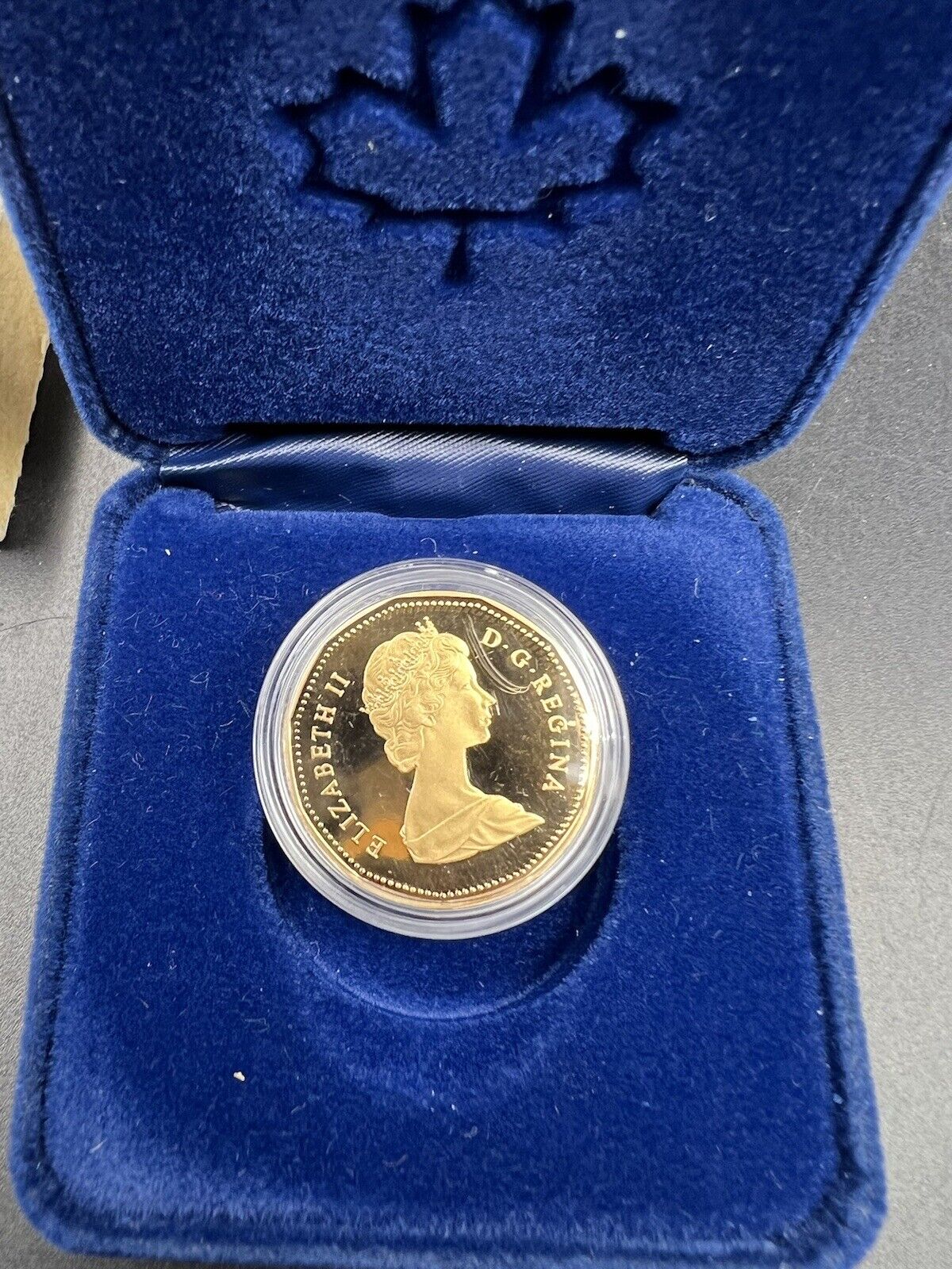 Canada 1987 RRC Gem Proof Loonie Dollar Coin OGP Box & COA #A