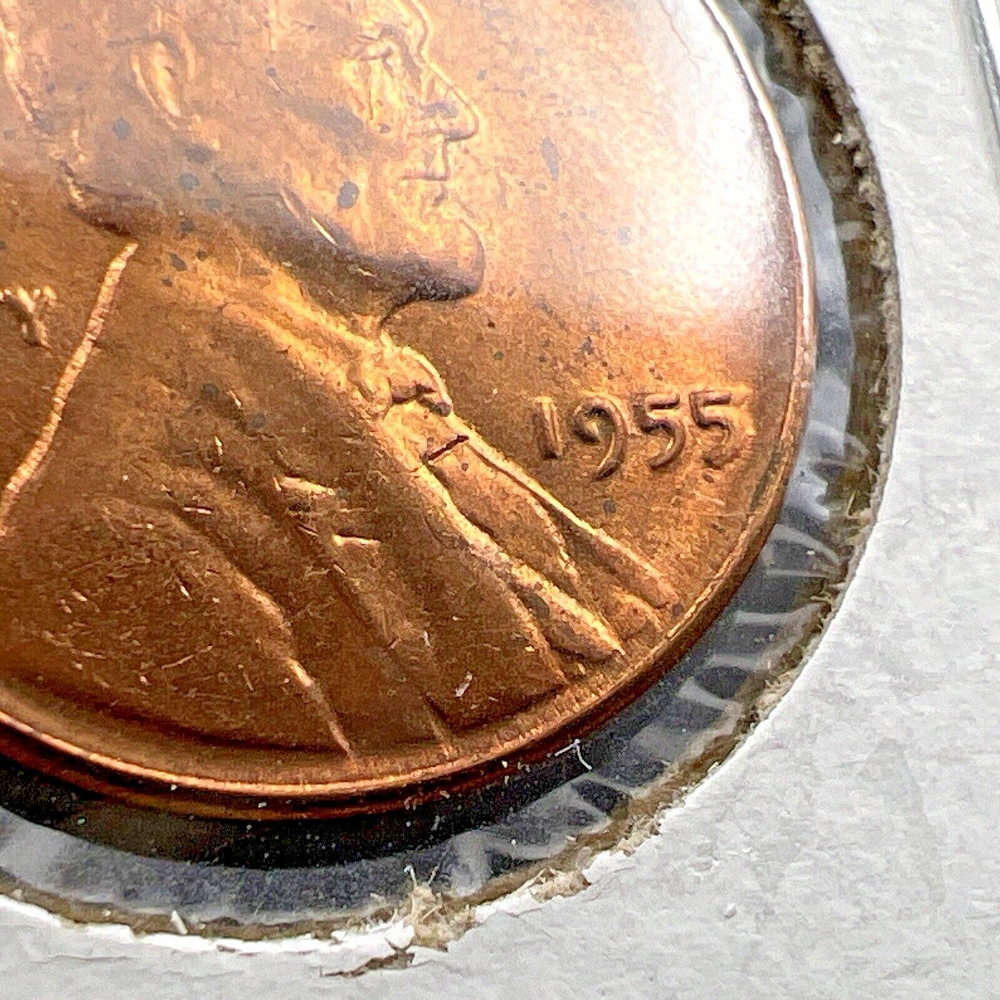 1955 P 1c Lincoln Wheat Cent Penny Coin Poor Man Strike Double Die BU RB #AB