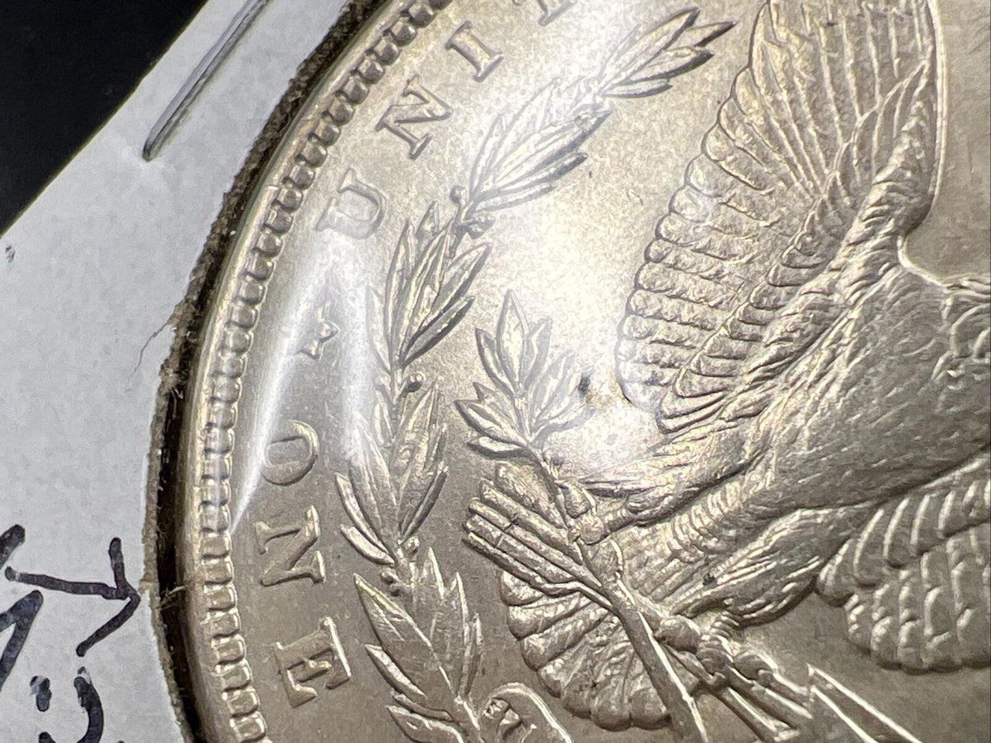 1900 P Morgan Silver Dollar Coin VAM 33 Variety DDR Reverse Leaves Choice AU