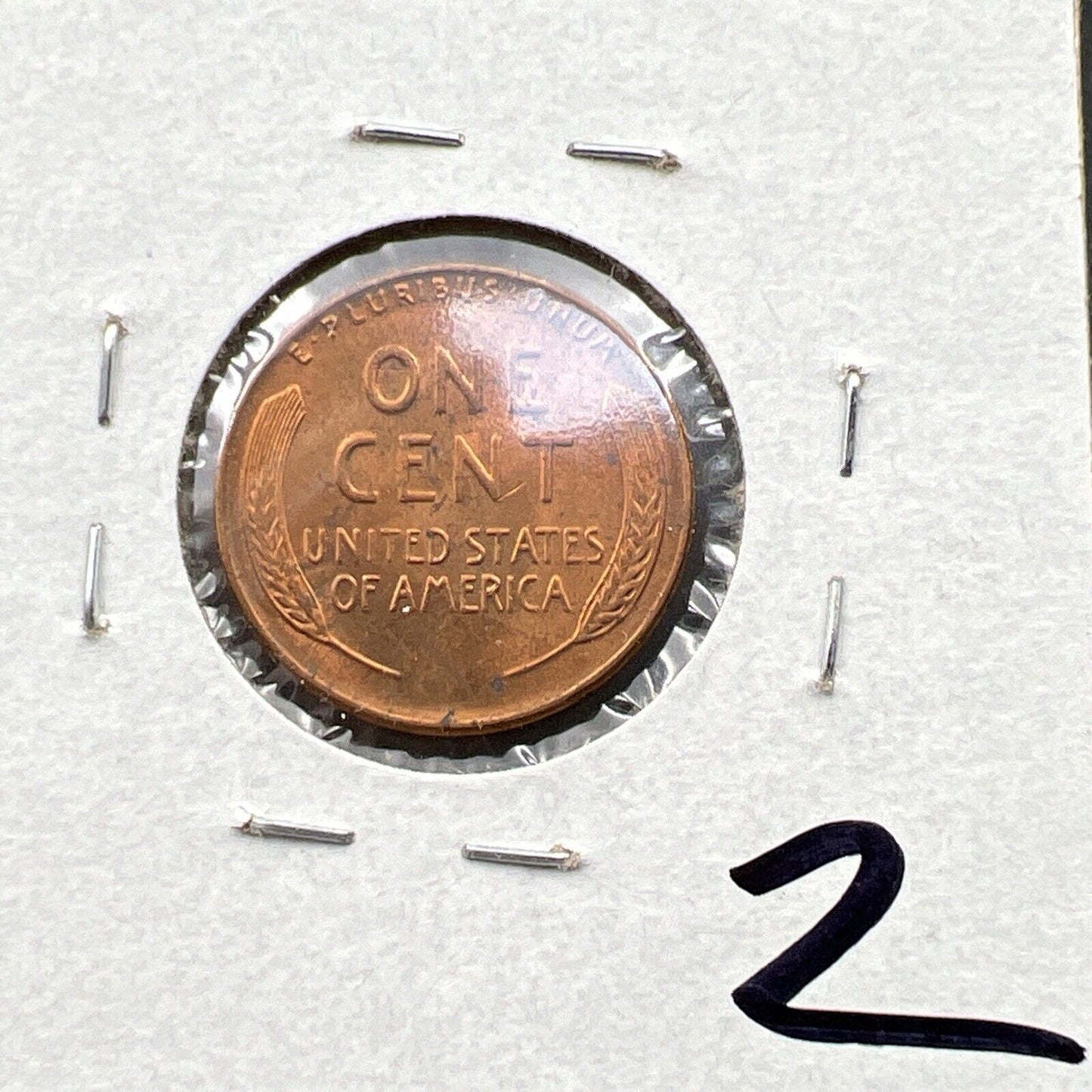 1955 P 1c Lincoln Wheat Cent Penny Coin Poor Man Strike Double Die BU RB #3824Z