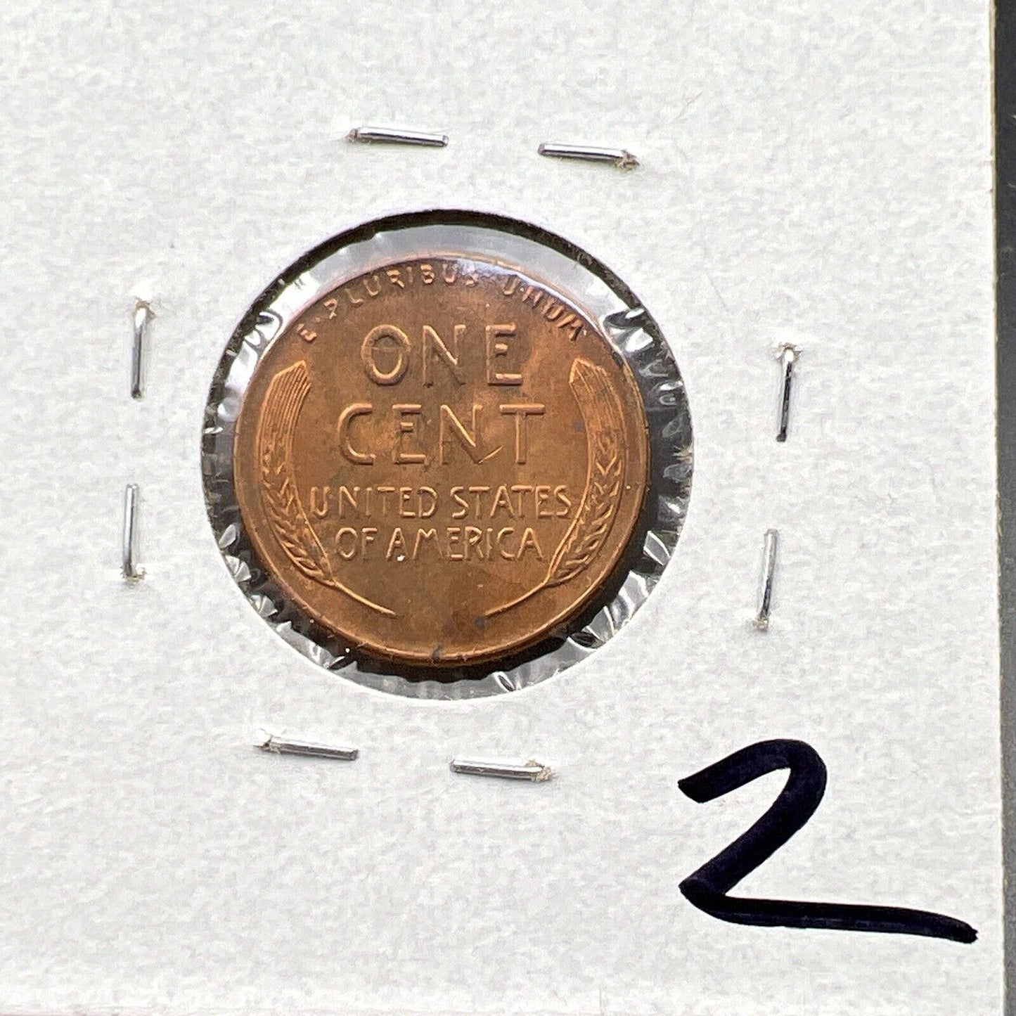 1955 P 1c Lincoln Wheat Cent Penny Coin Poor Man Strike Double Die BU RB #3824Z